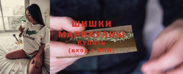 бошки Богданович