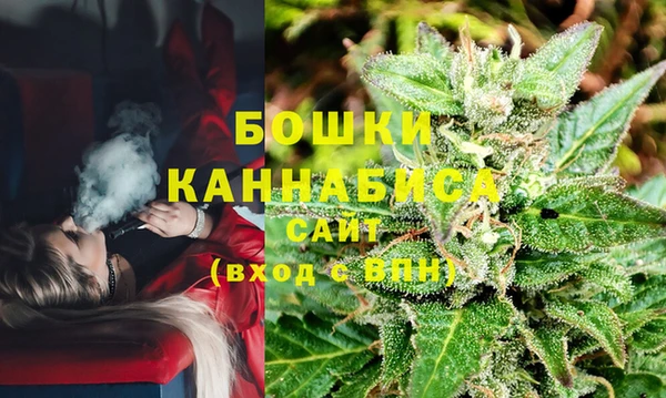 каннабис Белокуриха