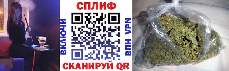купить наркотики цена  Кировград  Конопля Amnesia 